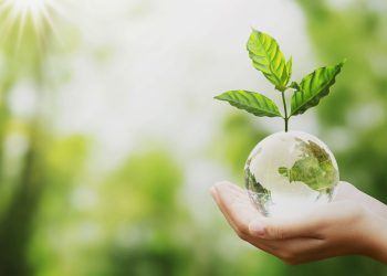 Proyectos Ambientales