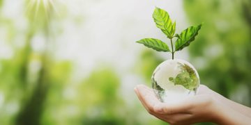 Proyectos Ambientales